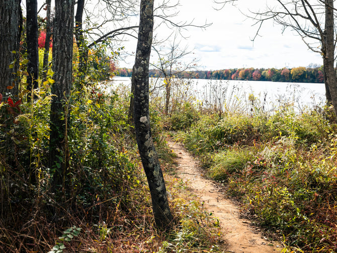 Winding dirt trail through autumn trees to a calm lake